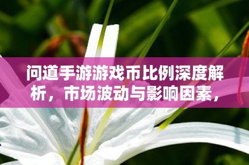 问道手游游戏币比例深度解析图片