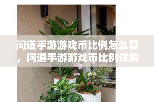 问道手游游戏币比例怎么算图片