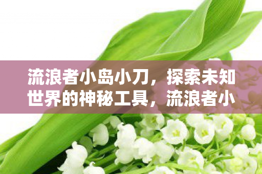 流浪者小岛小刀,探索未知世界的神秘工具,流浪者小岛小刀,探索未知世界的神秘工具 流浪者小岛小刀,探索未知世界的神秘工具,流浪者小岛小刀,探索未知世界的神秘工具