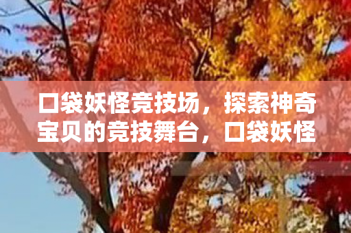 口袋妖怪竞技场,探索神奇宝贝的竞技舞台,口袋妖怪竞技场,探索神奇宝贝的竞技舞台 口袋妖怪竞技场,探索神奇宝贝的竞技舞台,口袋妖怪竞技场,探索神奇宝贝的竞技舞台