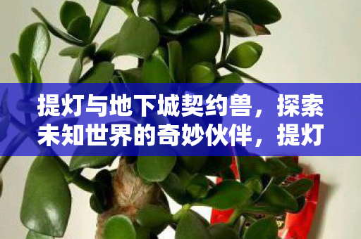 提灯与地下城契约兽,探索未知世界的奇妙伙伴,提灯与地下城,契约兽,探索未知世界的奇妙伙伴 提灯与地下城契约兽,探索未知世界的奇妙伙伴,提灯与地下城,契约兽,探索未知世界的奇妙伙伴