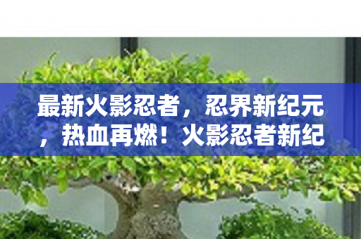 最新火影忍者,忍界新纪元,热血再燃!火影忍者新纪元,热血再燃,忍界再临! 最新火影忍者,忍界新纪元,热血再燃!火影忍者新纪元,热血再燃,忍界再临!
