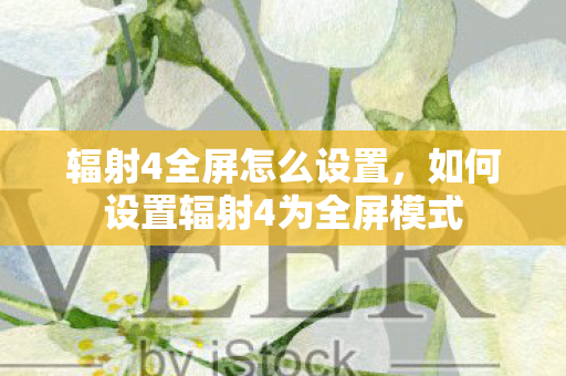 辐射4全屏怎么设置，如何设置辐射4为全屏模式