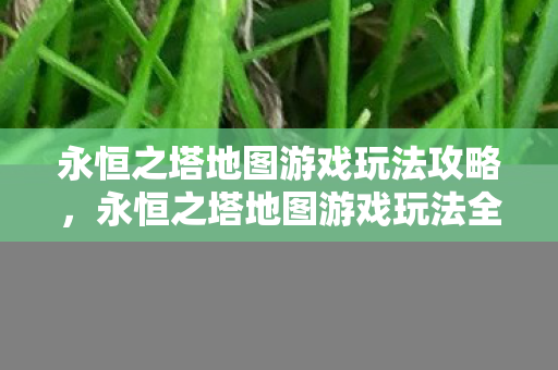 永恒之塔地图游戏玩法全攻略图片