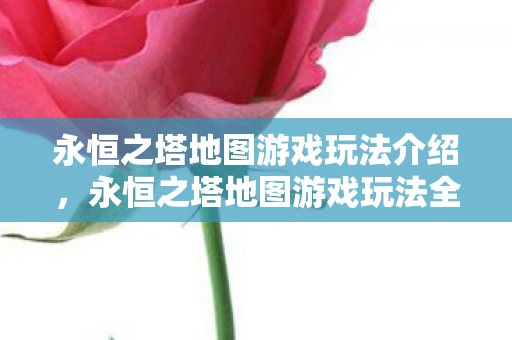 永恒之塔地图游戏玩法全解析图片