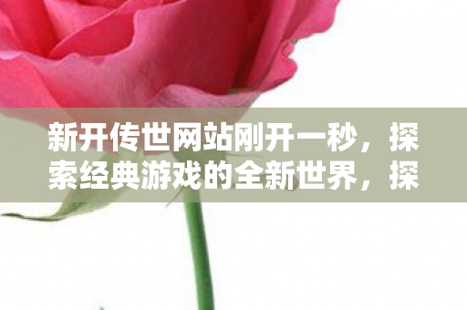 探索经典游戏的全新世界图片