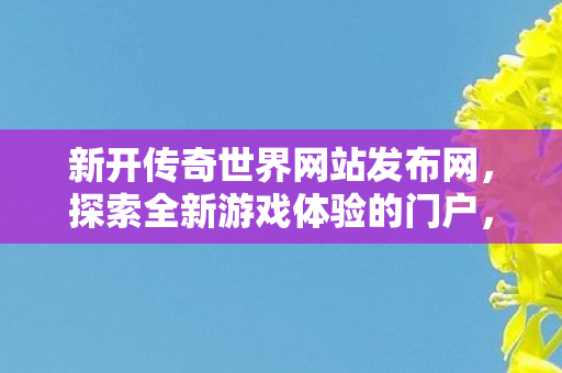 传奇世界网站发布网门户开启图片