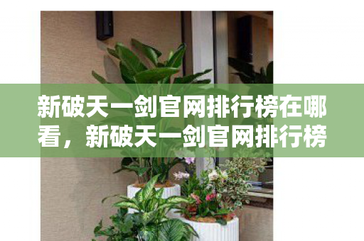 新破天一剑官网排行榜在哪看,新破天一剑官网排行榜查看指南 新破天一剑官网排行榜在哪看,新破天一剑官网排行榜查看指南