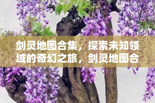 探索未知领域的奇幻之旅图片