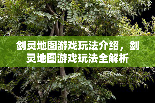 剑灵地图游戏玩法全解析图片