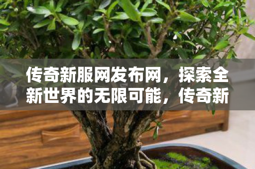 探索全新世界的无限可能图片