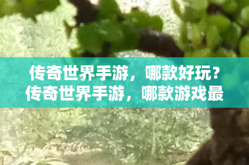 哪款游戏最有趣好玩图片