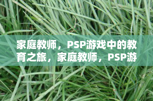 家庭教师,PSP游戏中的教育之旅,家庭教师,PSP游戏中的教育之旅 家庭教师,PSP游戏中的教育之旅,家庭教师,PSP游戏中的教育之旅