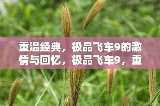 重温经典,极品飞车9的激情与回忆,极品飞车9,重温经典,点燃激情与回忆 重温经典,极品飞车9的激情与回忆,极品飞车9,重温经典,点燃激情与回忆
