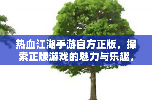 探索正版游戏的魅力与乐趣图片