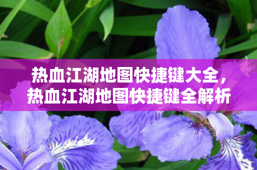 热血江湖地图快捷键全解析图片