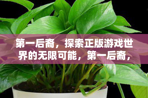 第一后裔,探索正版游戏世界的无限可能,第一后裔,探索正版游戏世界的无限可能 第一后裔,探索正版游戏世界的无限可能,第一后裔,探索正版游戏世界的无限可能