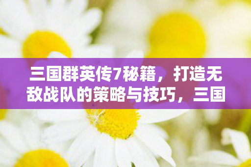 三国群英传7秘籍,打造无敌战队的策略与技巧,三国群英传7打造无敌战队秘籍,策略与技巧全解析 三国群英传7秘籍,打造无敌战队的策略与技巧,三国群英传7打造无敌战队秘籍,策略与技巧全解析