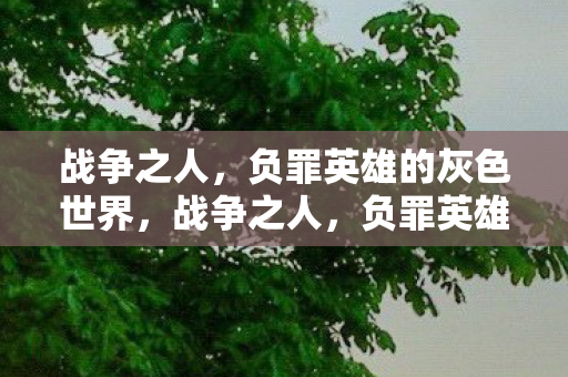 战争之人，负罪英雄的灰色世界，战争之人，负罪英雄的灰色世界