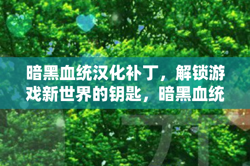 暗黑血统汉化补丁，解锁游戏新世界的钥匙，暗黑血统汉化补丁，解锁游戏新世界