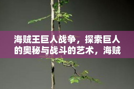 海贼王巨人战争,探索巨人的奥秘与战斗的艺术,海贼王巨人战争,探索巨人之谜,领略战斗艺术 海贼王巨人战争,探索巨人的奥秘与战斗的艺术,海贼王巨人战争,探索巨人之谜,领略战斗艺术