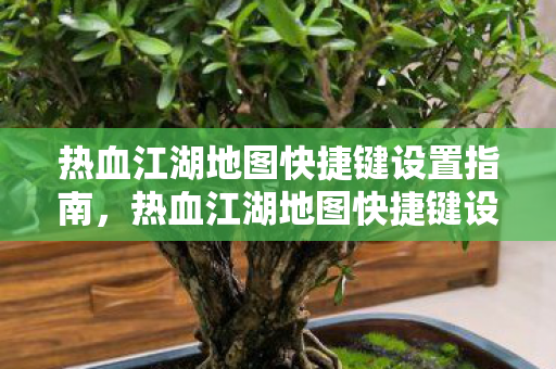 热血江湖地图快捷键设置全攻略图片