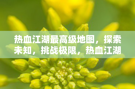 热血江湖最高级地图图片