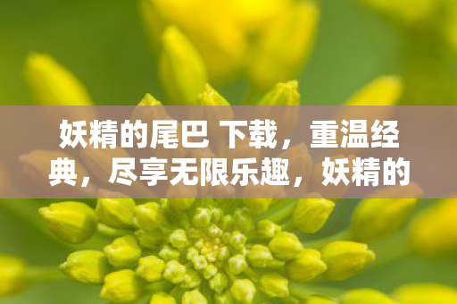 妖精的尾巴重温经典图片