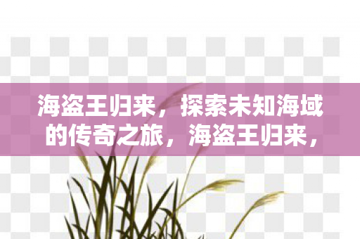 探索未知海域的传奇之旅图片