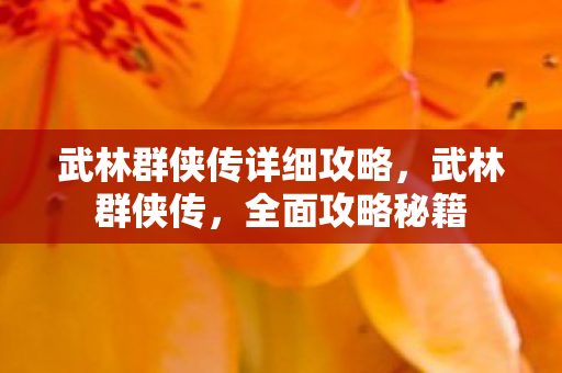 武林群侠传详细攻略图片