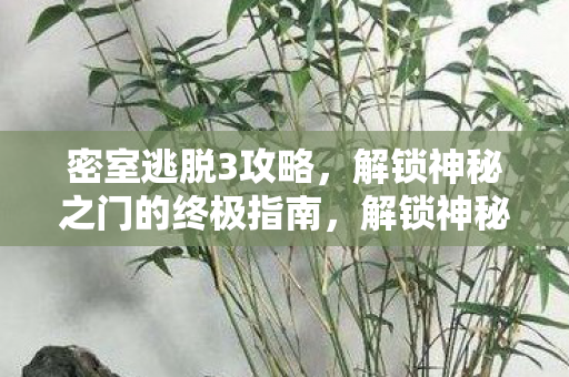 解锁神秘之门的终极指南图片