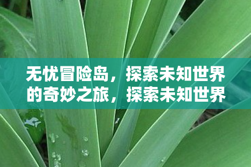 探索未知世界的奇妙之旅图片
