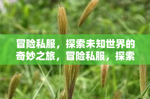 探索未知世界的奇妙之旅图片