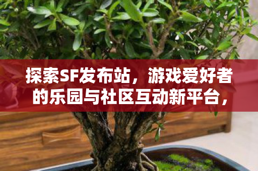 游戏爱好者的乐园与社区互动新平台图片