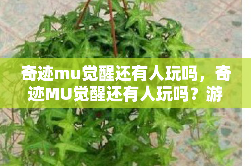 奇迹mu觉醒还有人玩吗,奇迹MU觉醒还有人玩吗?游戏热度与玩家群体分析 奇迹mu觉醒还有人玩吗,奇迹MU觉醒还有人玩吗?游戏热度与玩家群体分析