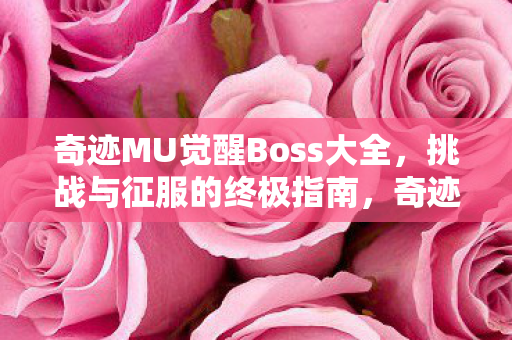 奇迹MU觉醒Boss大全,挑战与征服的终极指南,奇迹MU觉醒Boss全攻略,挑战与征服的终极指南 奇迹MU觉醒Boss大全,挑战与征服的终极指南,奇迹MU觉醒Boss全攻略,挑战与征服的终极指南