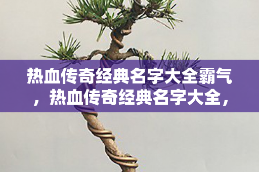 热血传奇经典名字大全霸气图片