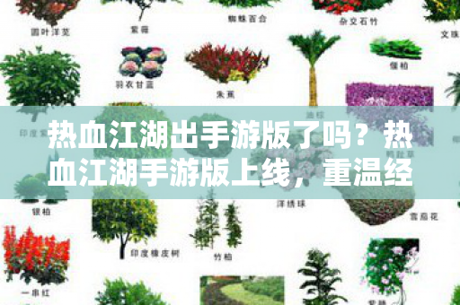 热血江湖出手游版了吗图片