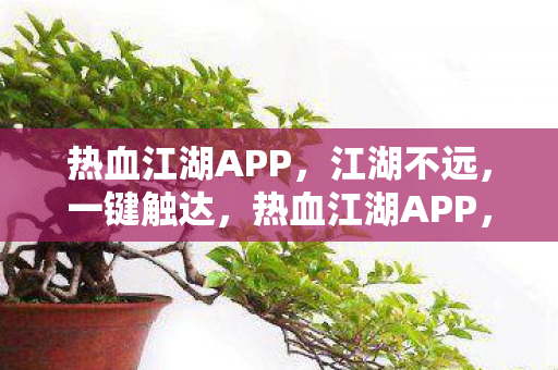 热血江湖APP图片
