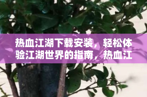 轻松体验江湖世界的指南图片