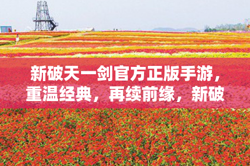 新破天一剑官方正版手游图片
