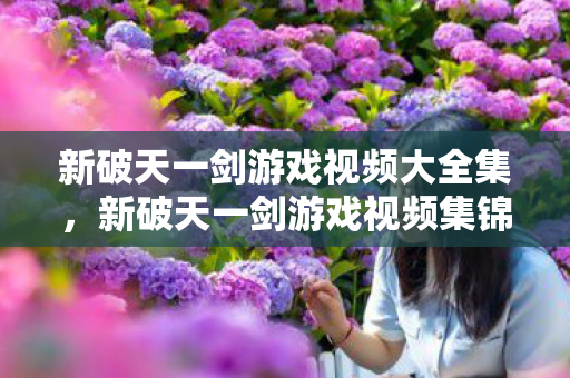 新破天一剑游戏视频大全集图片