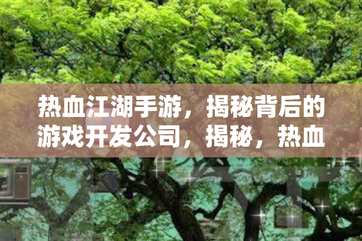 热血江湖手游背后的游戏开发公司图片