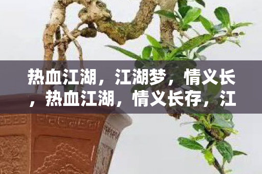 江湖梦未醒图片