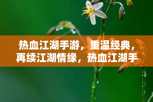 热血江湖手游图片