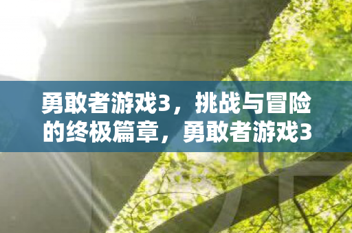 挑战与冒险的终极篇章图片