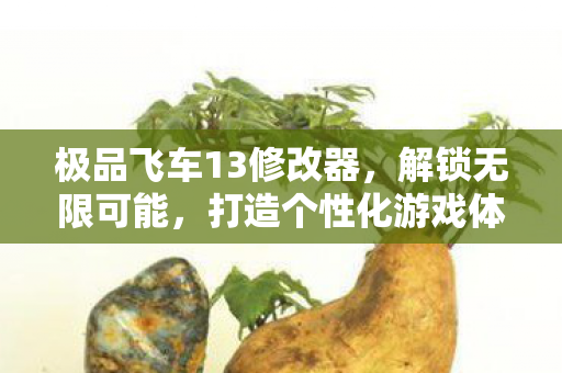 极品飞车13修改器，解锁无限可能，打造个性化游戏体验，极品飞车13修改器，解锁无限可能，打造个性化游戏体验
