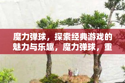 魔力弹球，探索经典游戏的魅力与乐趣，魔力弹球，重温经典游戏的魅力与乐趣