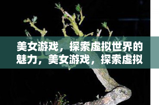 美女游戏,探索虚拟世界的魅力,美女游戏,探索虚拟世界的无限魅力 美女游戏,探索虚拟世界的魅力,美女游戏,探索虚拟世界的无限魅力