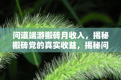 揭秘问道端游搬砖党真实收益图片